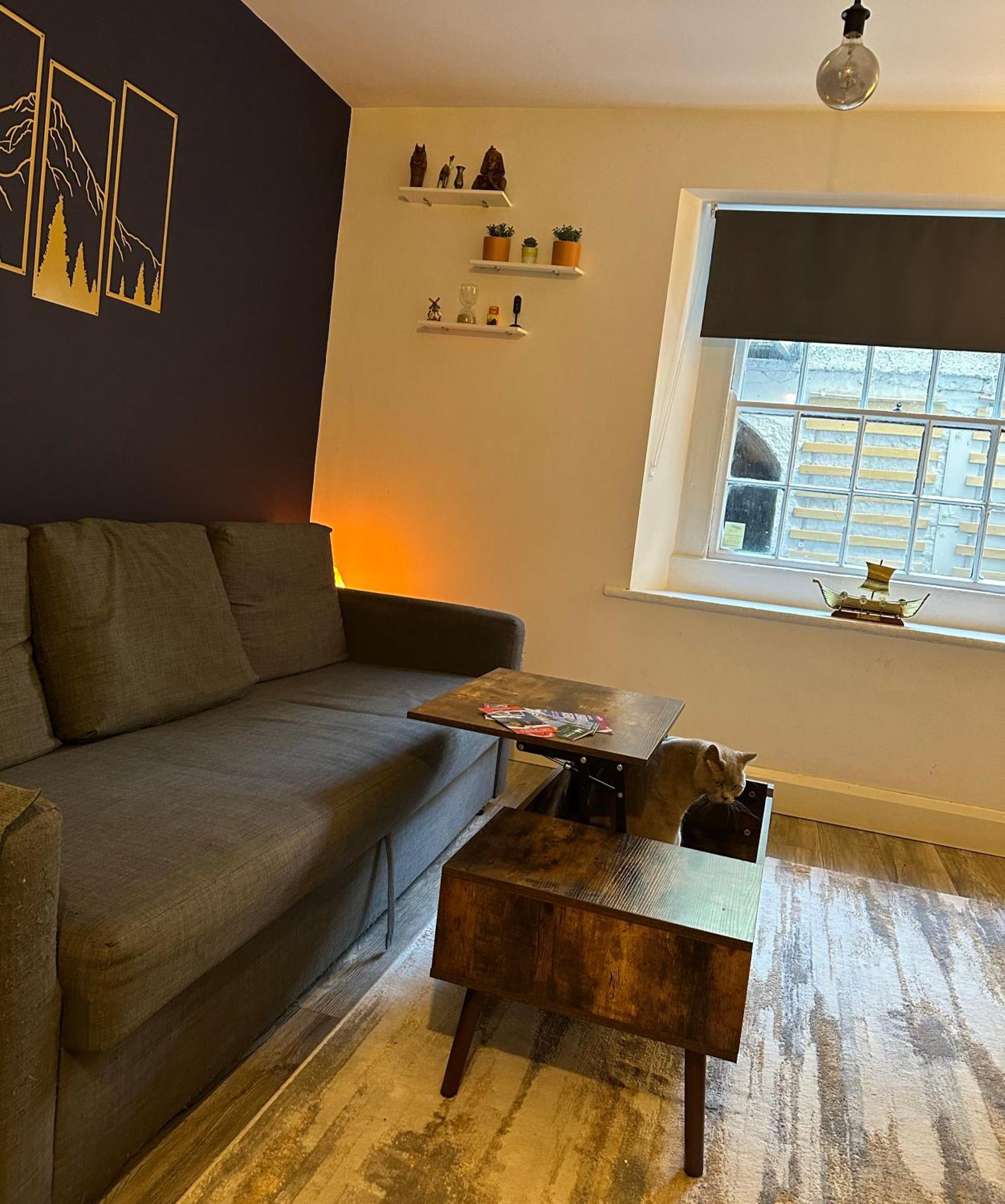 Entire Apartment In Dublin Dış mekan fotoğraf