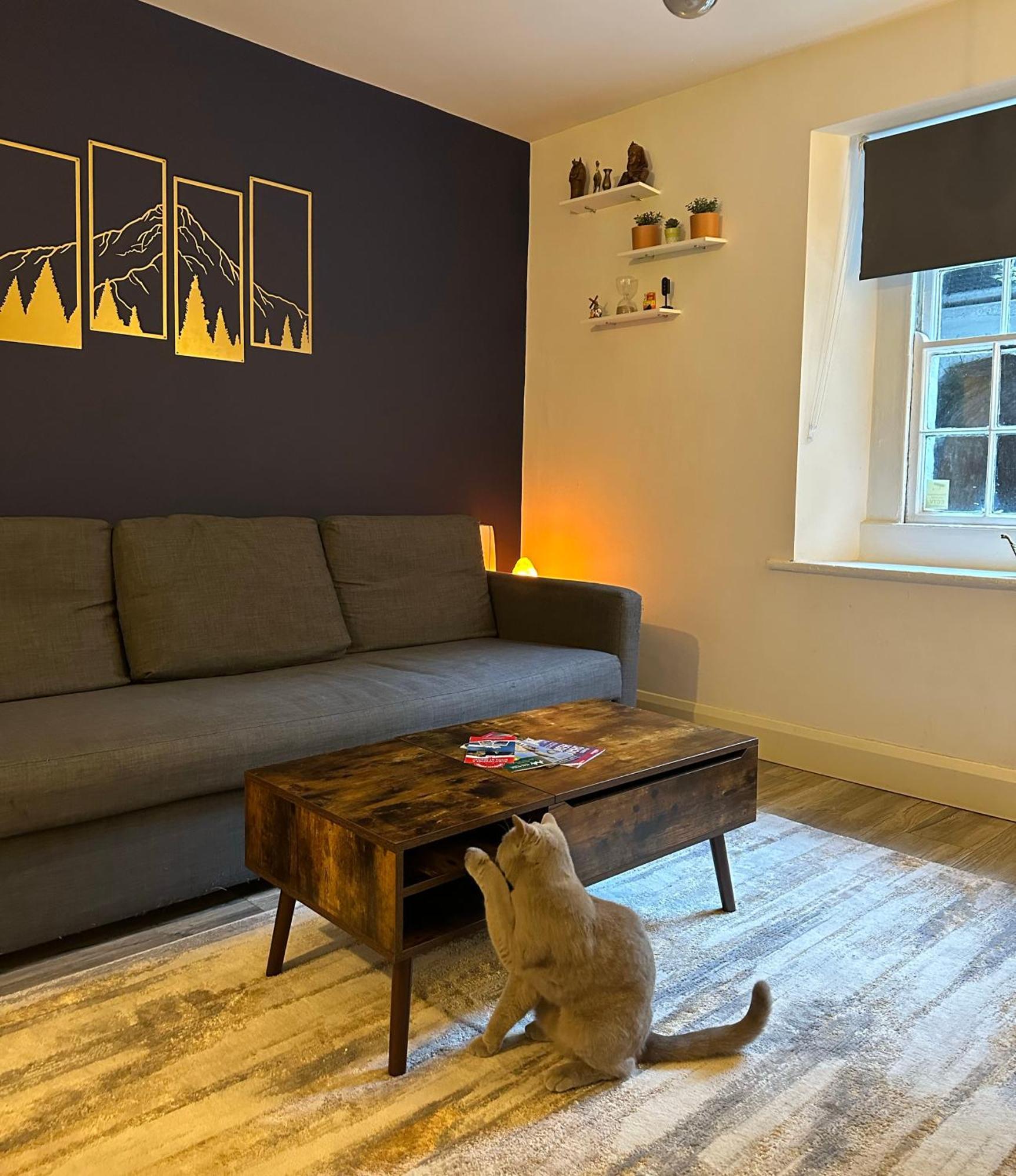 Entire Apartment In Dublin Dış mekan fotoğraf